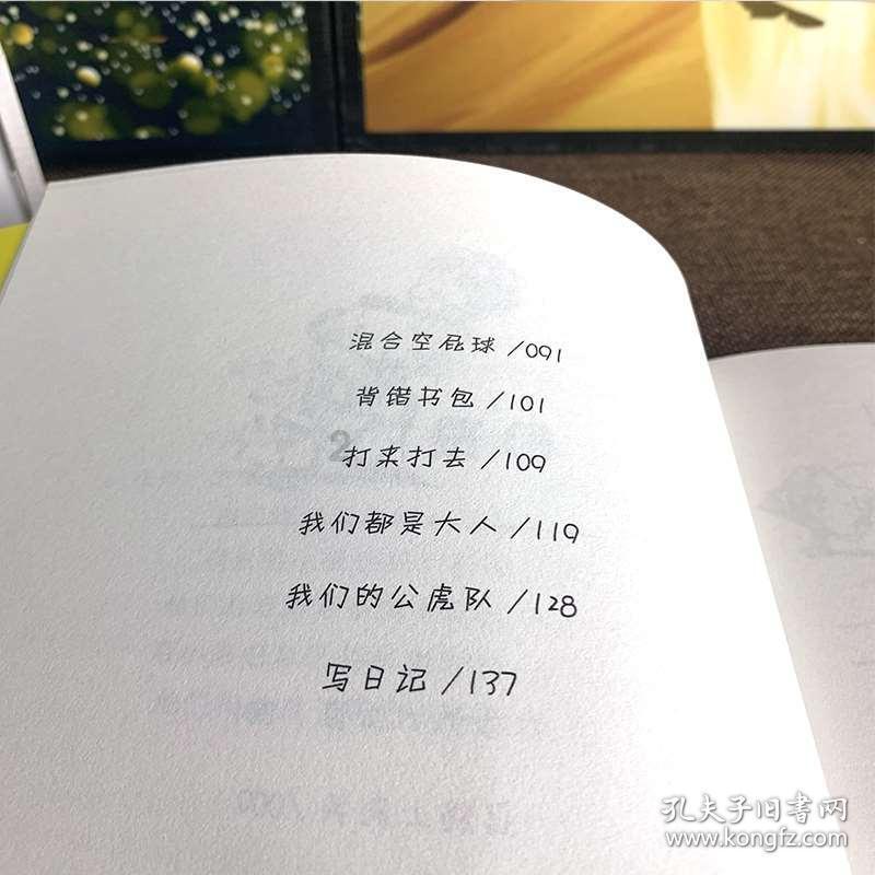 未知的岛屿