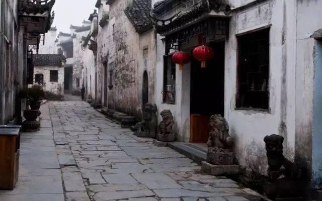 逃离诡异的森林